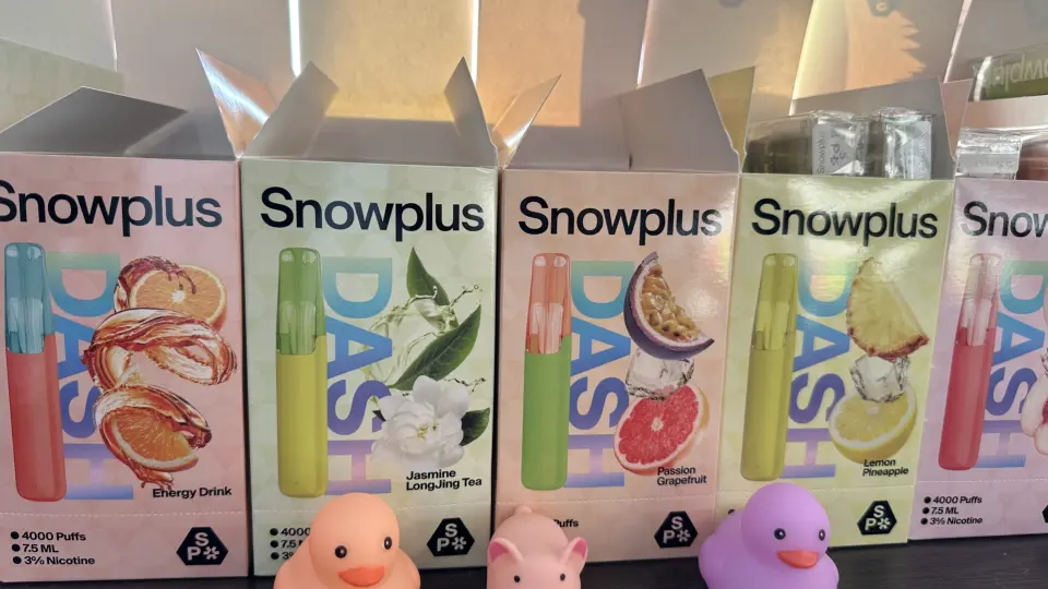 雪加鸭嘴兽一次性多少钱？