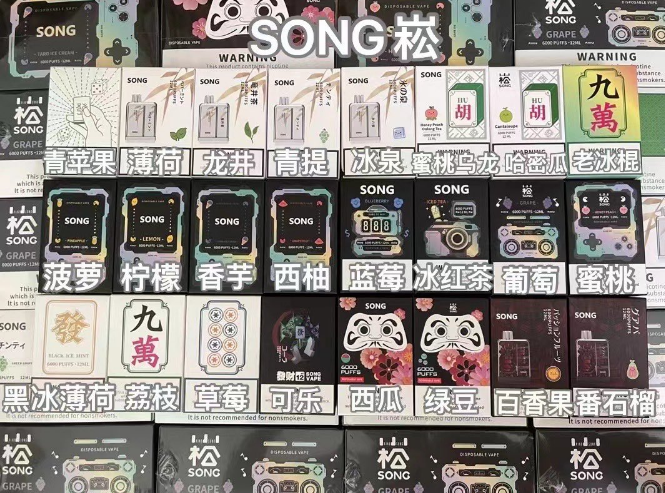 崧一次性电子烟——打造现代生活的清新体验