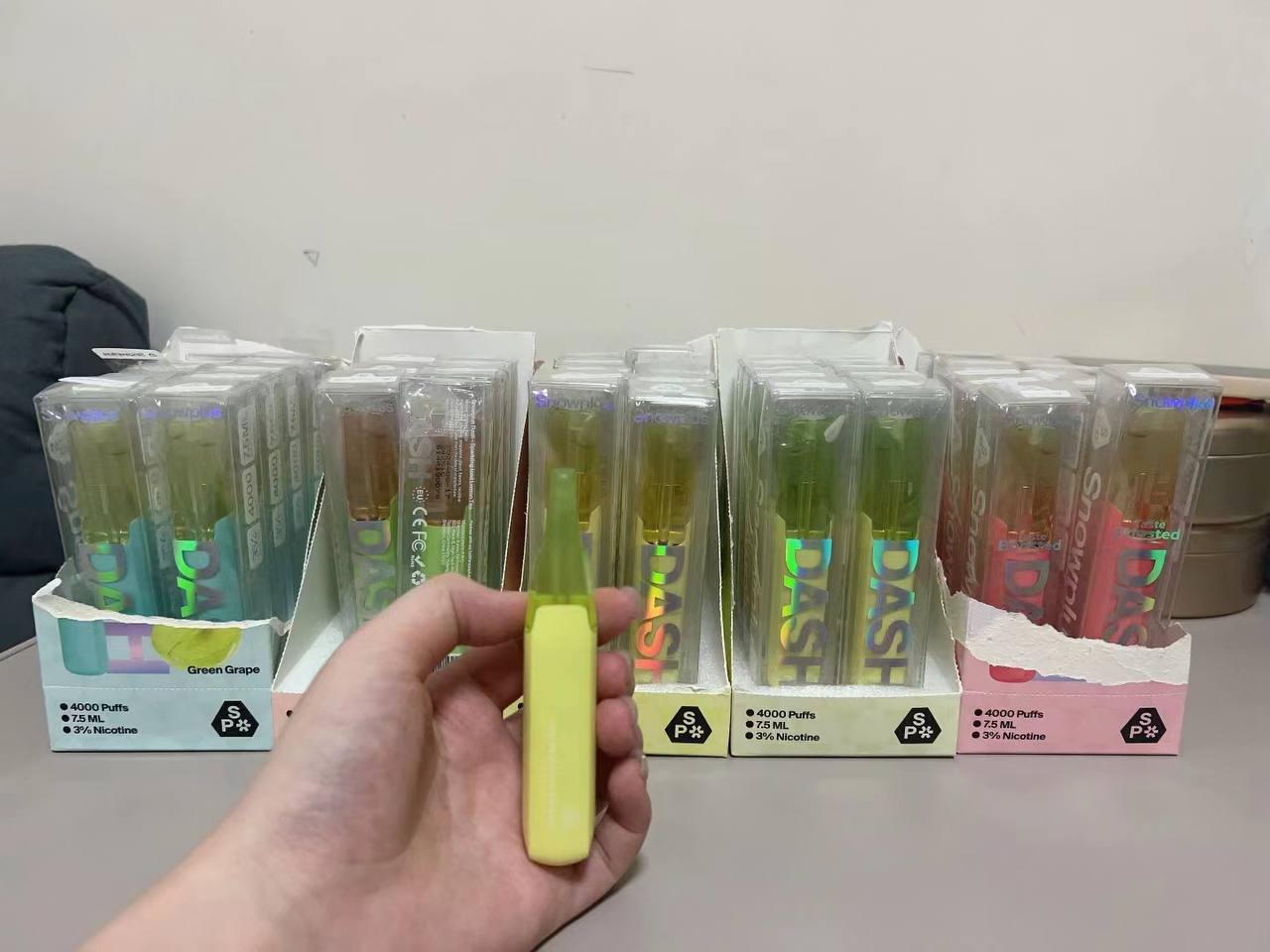 雪加鸭嘴兽