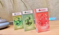安易本草中药雾化器是国药吗