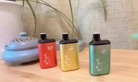 安易本草中药雾化器健康吗